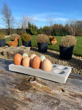 Load image into Gallery viewer, egg tray storage