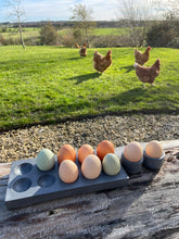 Load image into Gallery viewer, egg tray storage