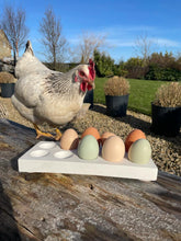 Load image into Gallery viewer, Concrete egg tray storage