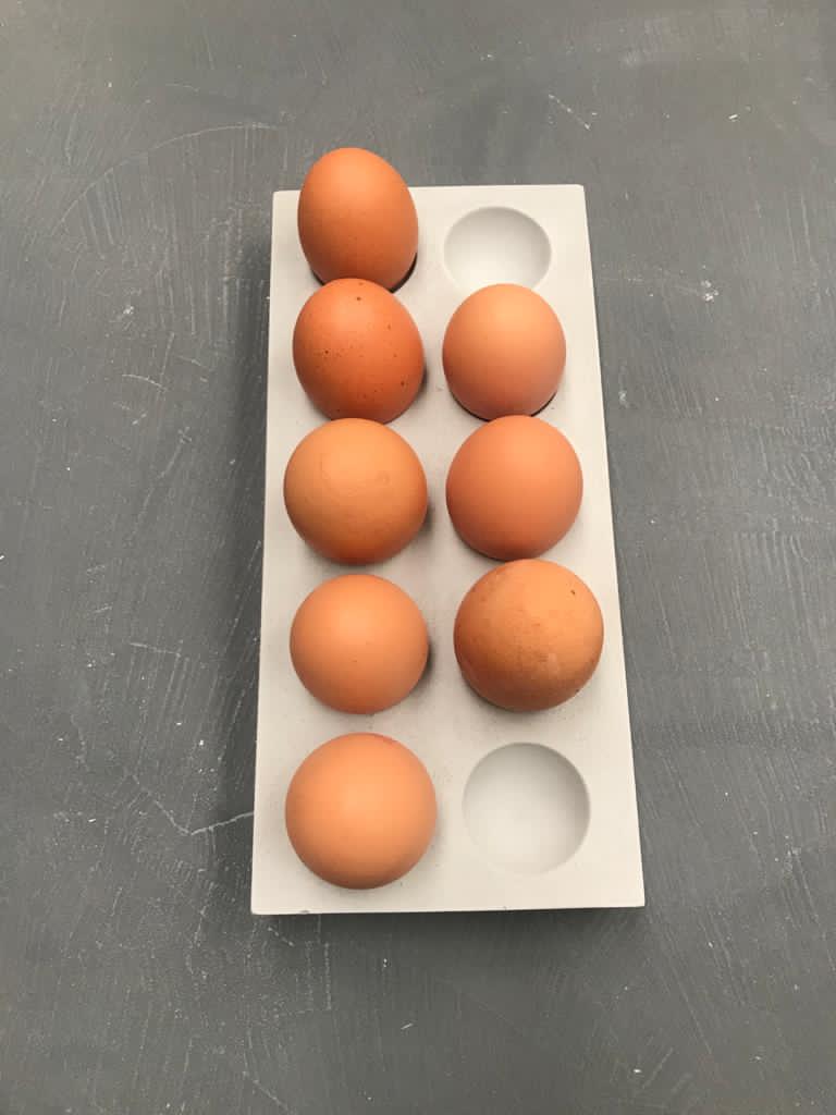 Concrete egg tray 10 eggs