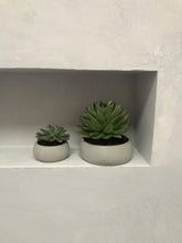 Load image into Gallery viewer, concrete planter concrete bowl
